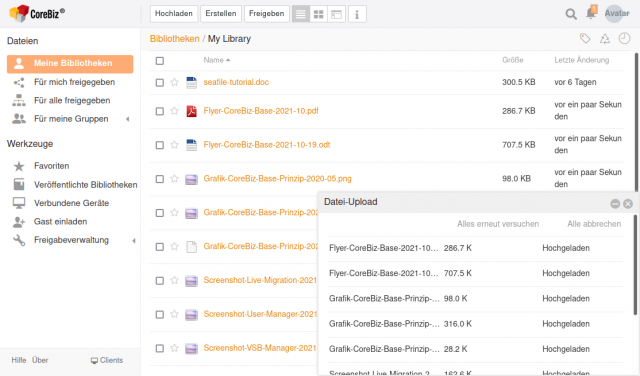 Screenshot CoreBiz Secure File Exchange
